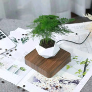 levitating air bonsai pot
